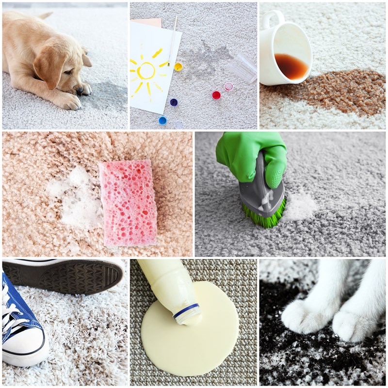 5 Most Common Carpet Cleaning Mistakes