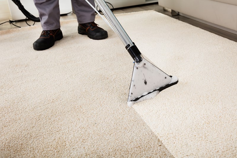 Tips for Using a Shampoo Carpet Cleaner