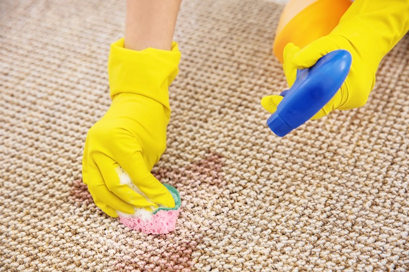 Sssh! Carpet Cleaning Secrets the Pros Don&#39;t Want You to Know