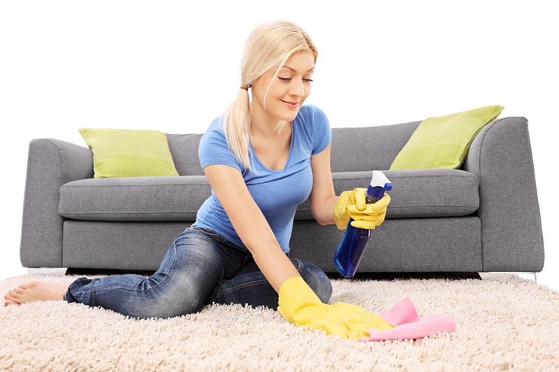 Will a DIY Carpet Cleaner Get Rid of Mold?