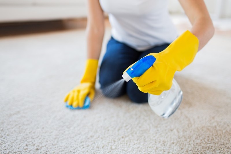 Cleaning 101: How Do I Remove Mold From My Carpet