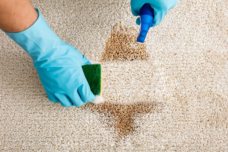 Carpet Nightmares 101: Remove That Vomit The Easy Way
