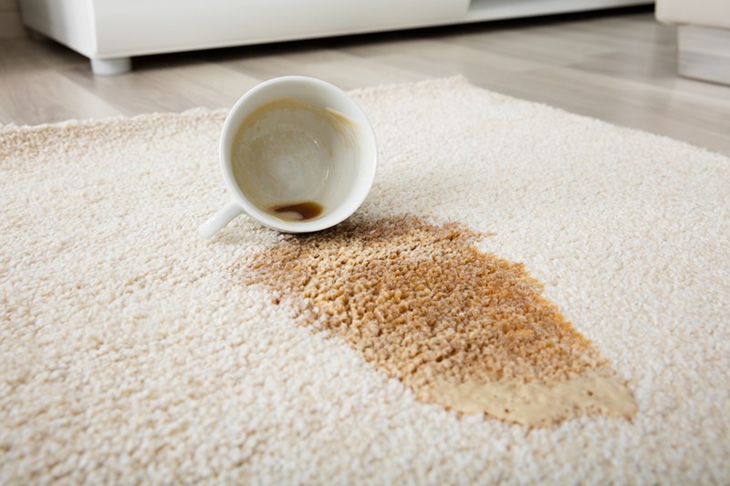 How to Get Rid of Your Carpet&#39;s Worst Stains