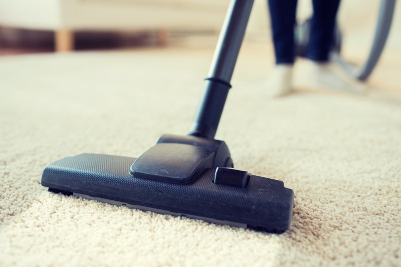 Everything You Need to Know About How to Remove Mold from Carpet