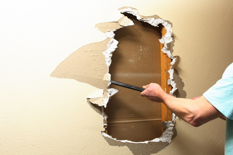 Everything You Need to Know About How to Remove Mold from Drywall 