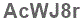 The text to enter in the texbox below is: AcWJ8r