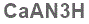 The text to enter in the texbox below is: CaAN3H