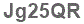 The text to enter in the texbox below is: Jg25QR
