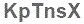 The text to enter in the texbox below is: KpTnsX