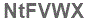 The text to enter in the texbox below is: NtFVWX