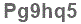 The text to enter in the texbox below is: Pg9hq5