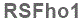 The text to enter in the texbox below is: RSFho1
