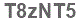 The text to enter in the texbox below is: T8zNT5