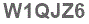 The text to enter in the texbox below is: W1QJZ6
