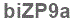 The text to enter in the texbox below is: biZP9a