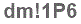 The text to enter in the texbox below is: dm!1P6