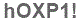 The text to enter in the texbox below is: hOXP1!