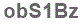 The text to enter in the texbox below is: obS1Bz