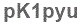 The text to enter in the texbox below is: pK1pyu