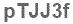 The text to enter in the texbox below is: pTJJ3f
