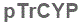 The text to enter in the texbox below is: pTrCYP
