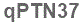 The text to enter in the texbox below is: qPTN37