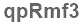 The text to enter in the texbox below is: qpRmf3