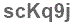 The text to enter in the texbox below is: scKq9j
