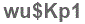 The text to enter in the texbox below is: wu$Kp1