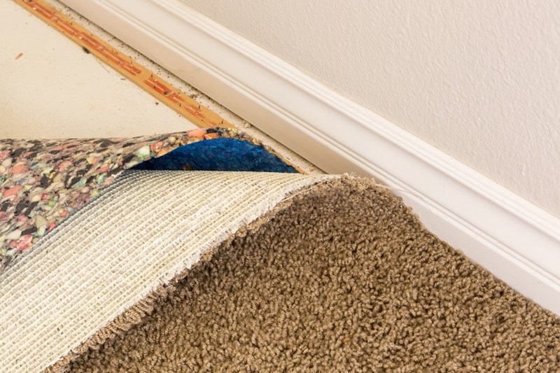 Prevent carpet mold after water damage