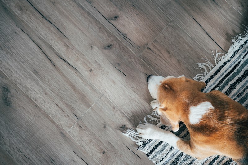 How to Clean Laminate Wood Floors