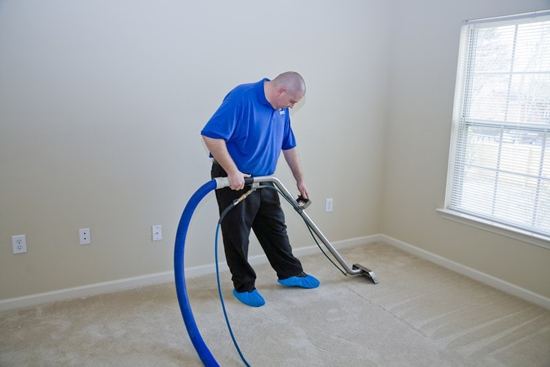 Get Mold Out of Your Carpet and from Underneath It