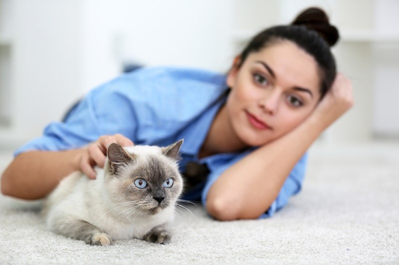 The &#39;Purrfect&#39; Way to Remove Cat Urine Odor From Carpet