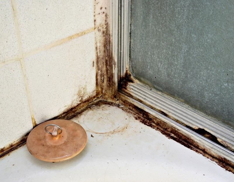 Tips to remove mold from bathrooms after a flood