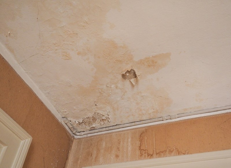 How to Repair Water Damaged Drywall so Stains Never Return