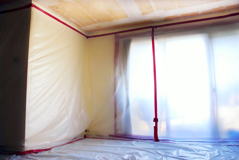 New Jersey Mold Removal